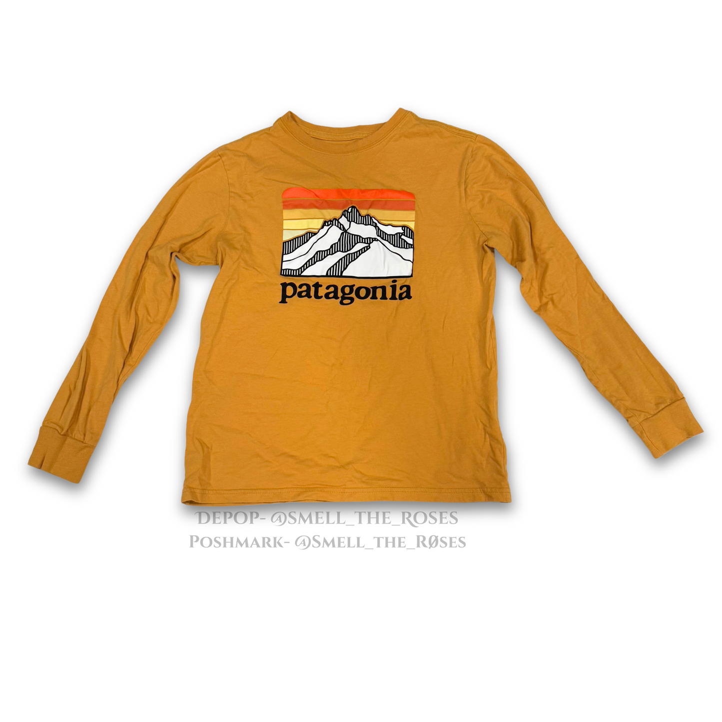 Patagonia Long Sleeve Graphic Logo Tee