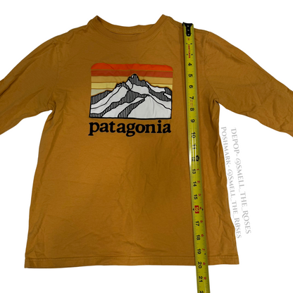 Patagonia Long Sleeve Graphic Logo Tee