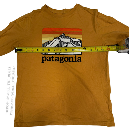 Patagonia Long Sleeve Graphic Logo Tee